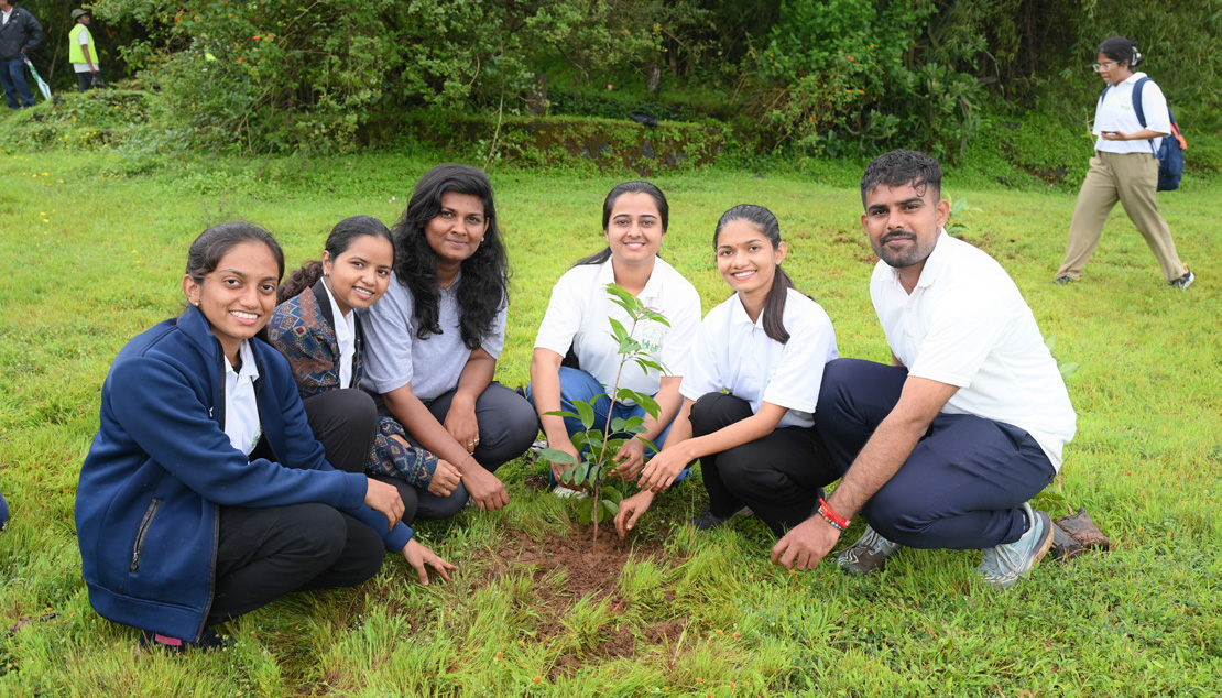 Employees planting a sapling