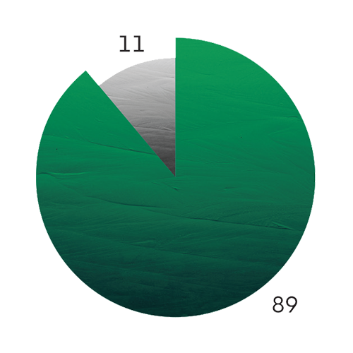 International capacity mix: 11% conventional, 89% clean