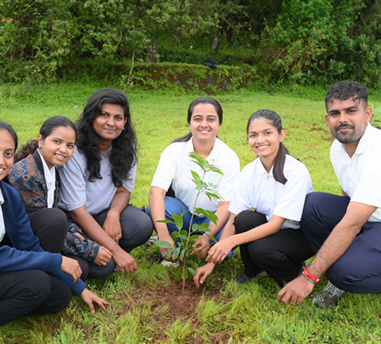 Climate Crew tree plantation