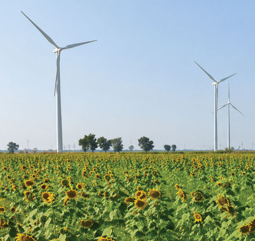 Wind turbines over a sunflower field