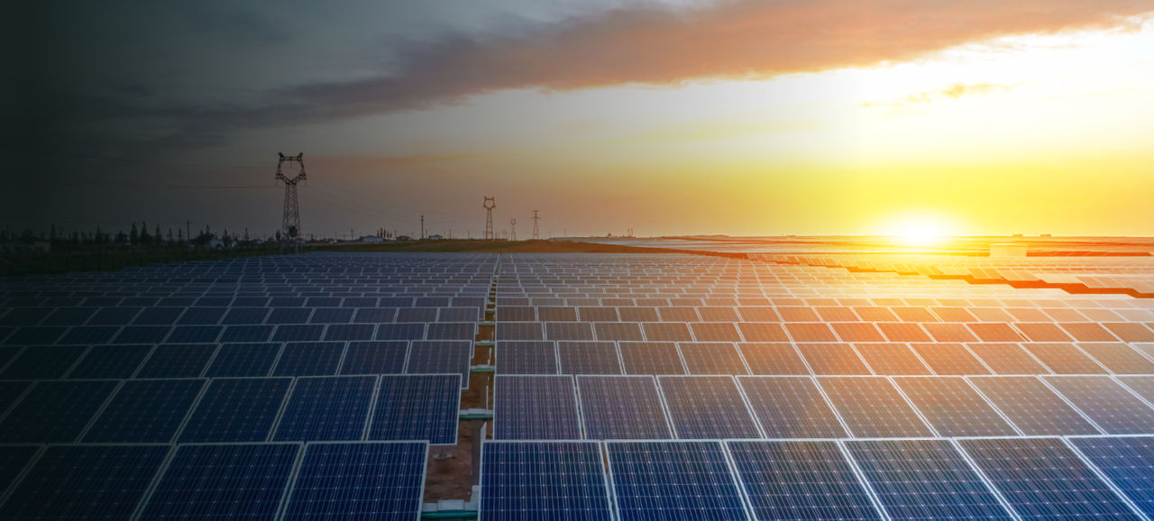 Tata Power posts record ?1,533 crore PAT in Q2FY25, a 51% YoY growth!