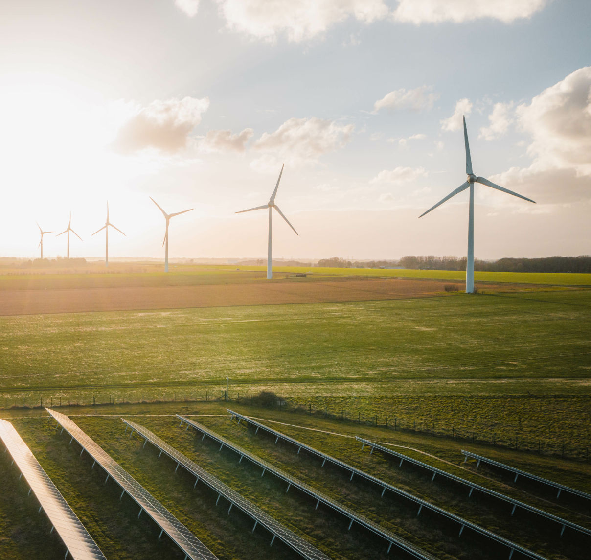 Windmill farm for clean electricity