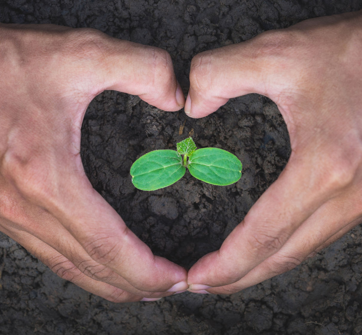 Tata Power demonstrates Care by supporting stakeholders, communities, and environmental sustainability.